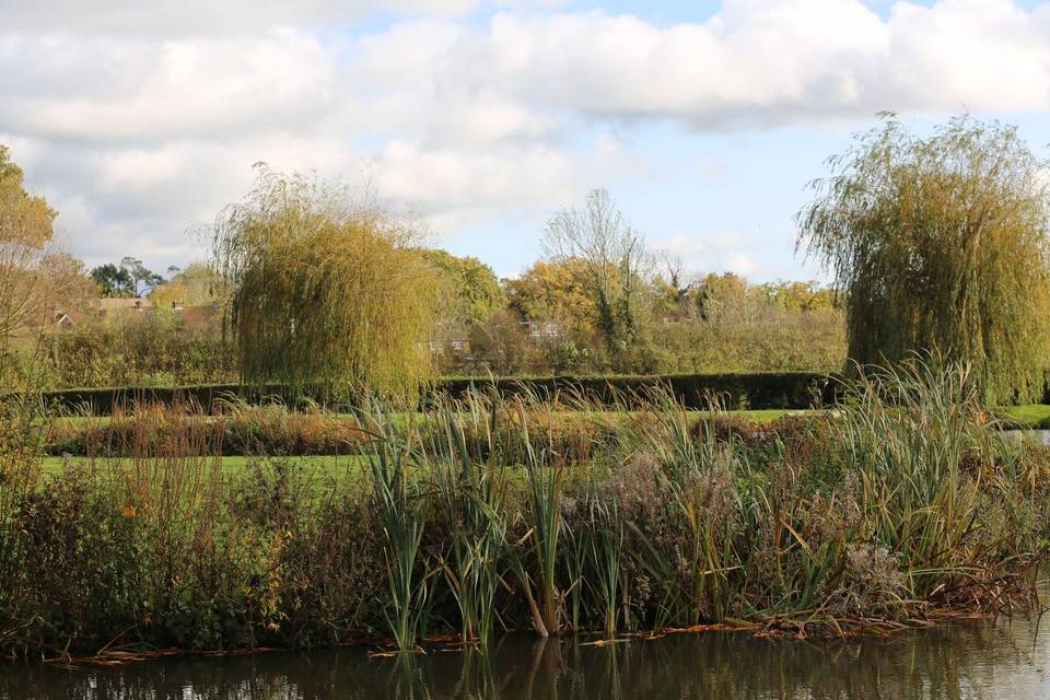 View over the Lake