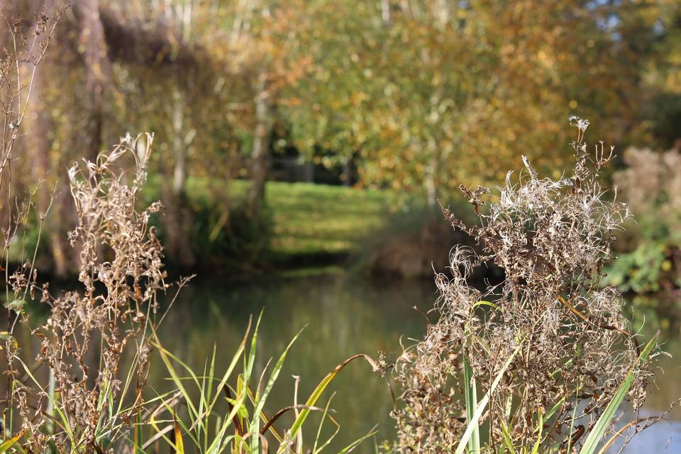 Coltsford Mill