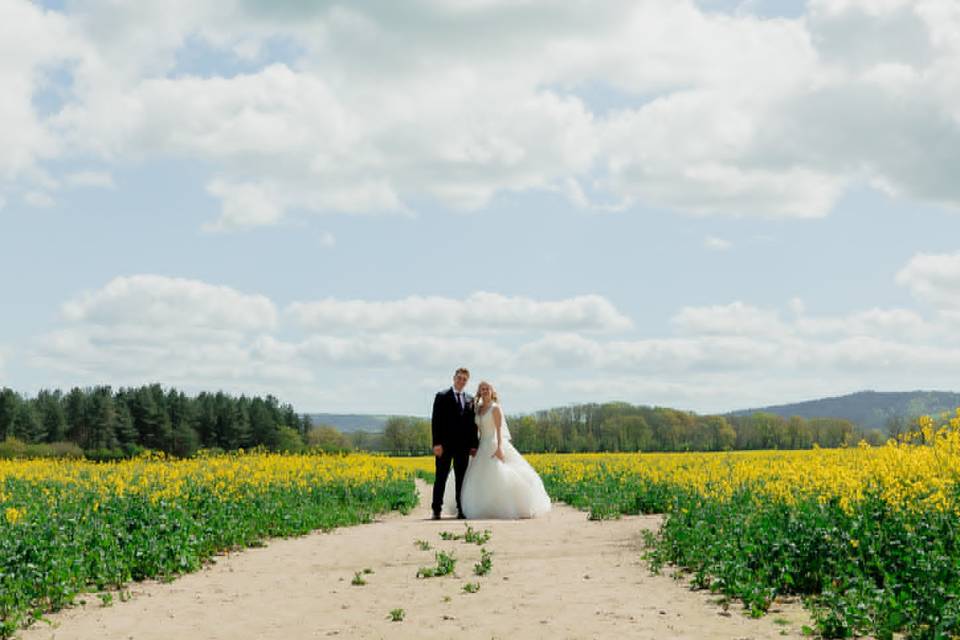 Wedding at Southdowns Manor