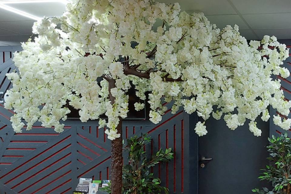 Blossom canopy 8ft tall