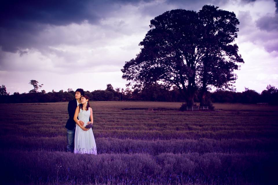 Romantic lavender pre-wedding