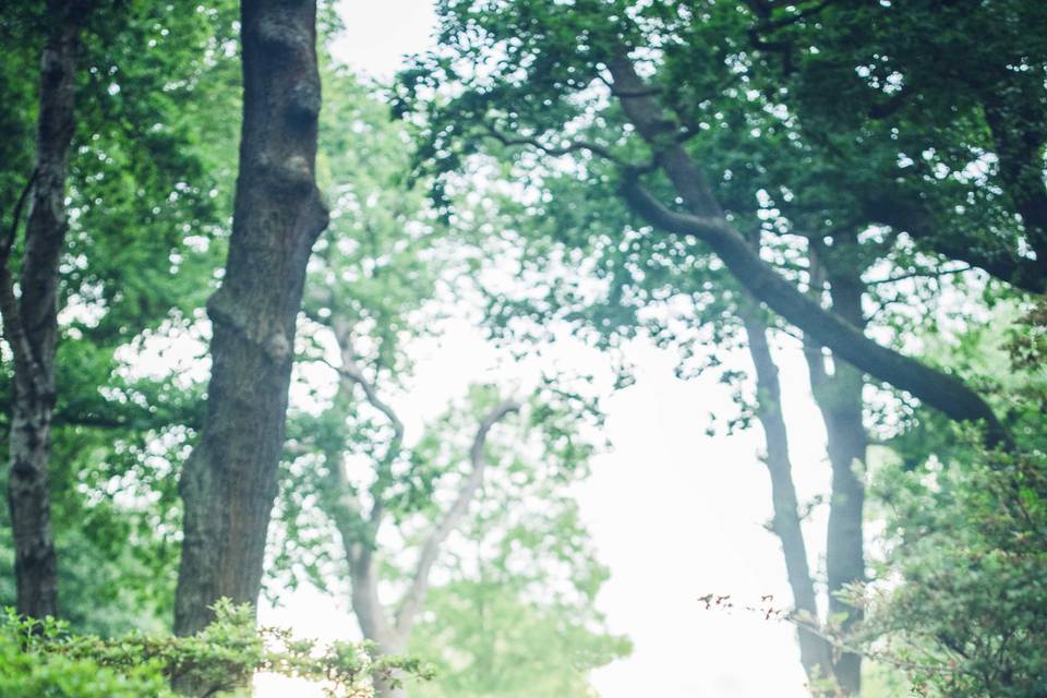 Engagement photo in richmond