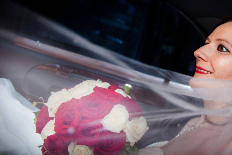 Bridal portrait on wedding day