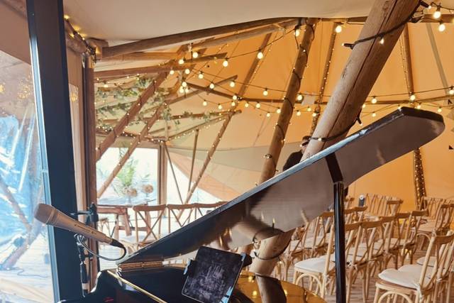 Baby grand piano shell