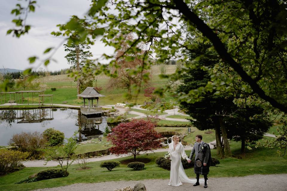 Lovebirds in the garden