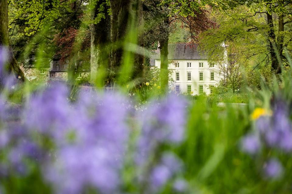 Grove through the gardens