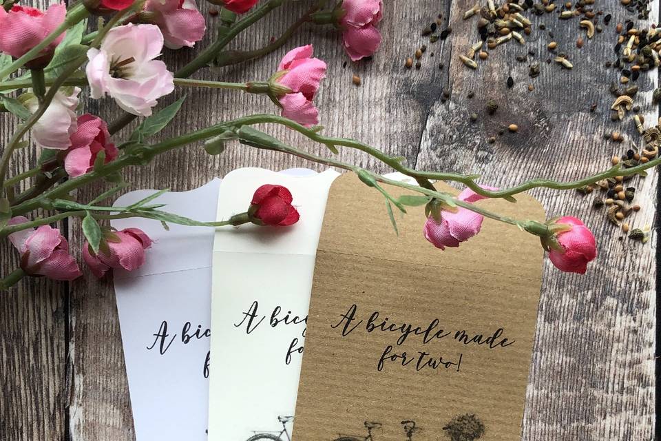 Seed Envelope Wedding Favour