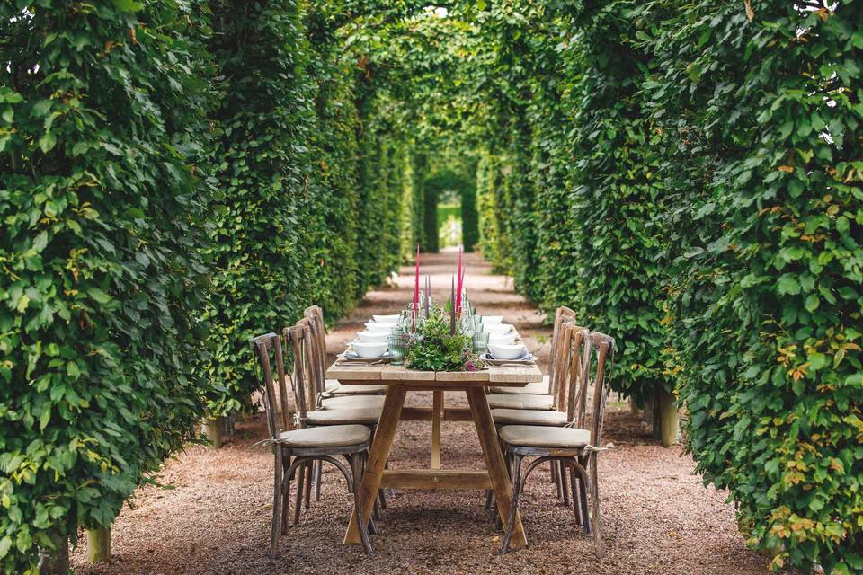 Under the hornbeam Arches