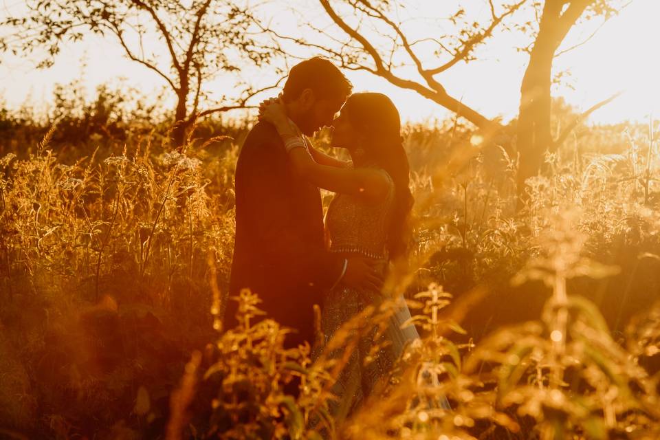 Sunset in the fields