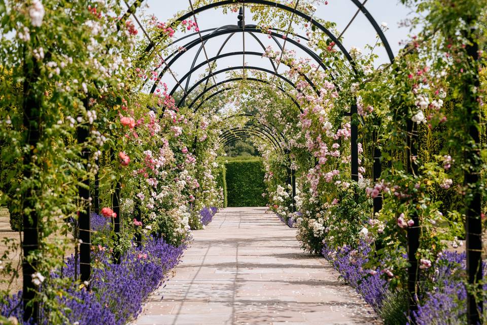 The Rose Garden