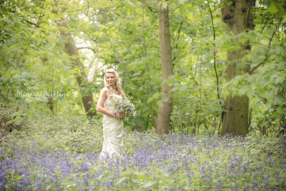 Bride in the Bluebells