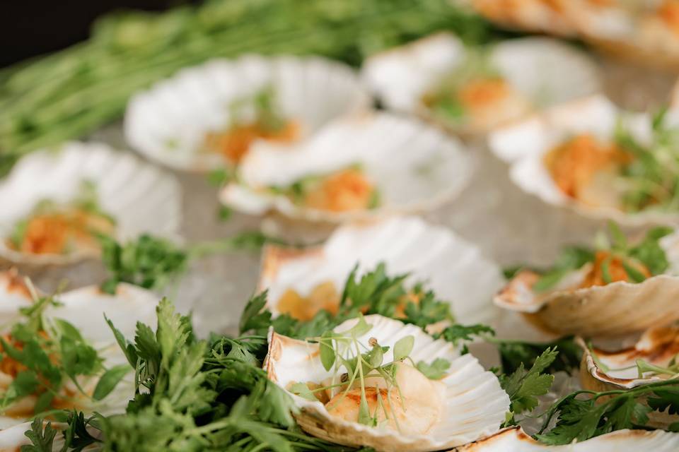 Scallops