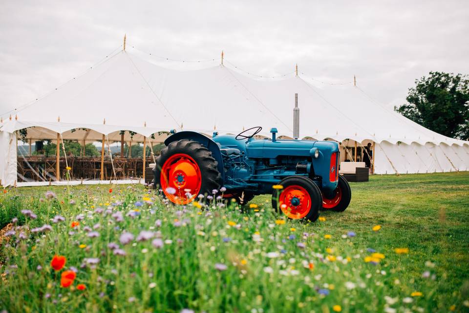 Farmland wedding