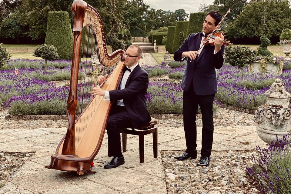 Violin and harp wedding music