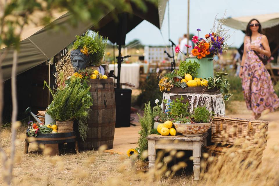 Table scape