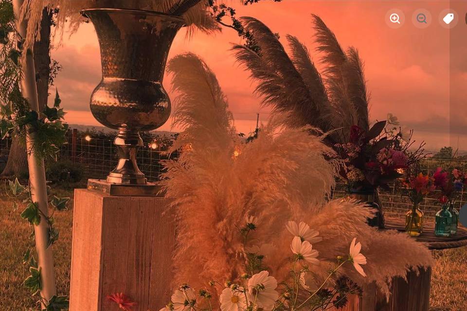 Windy ceremony