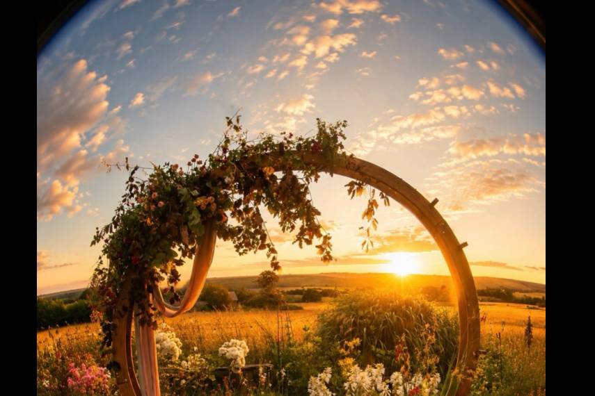Flower sunset