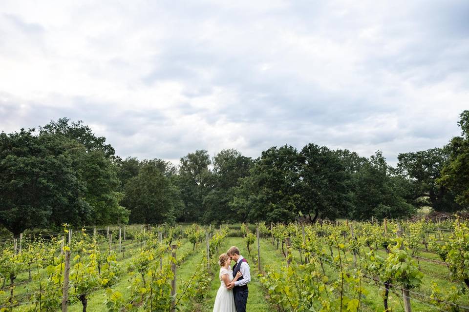 The Vineyard at Stanlake Park