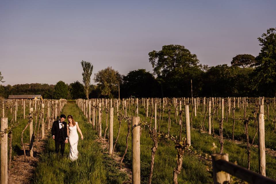 The Vineyard at Stanlake Park