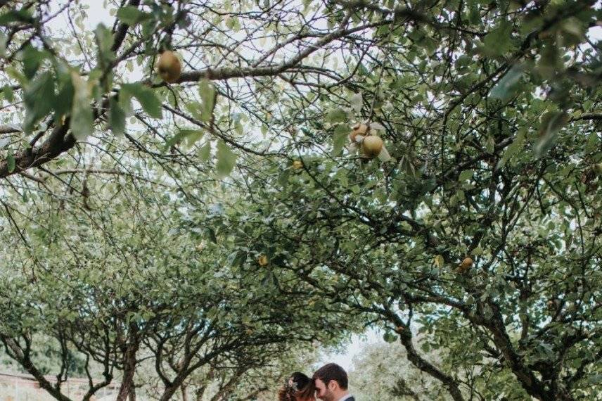 The Orchard at Stanlake Park