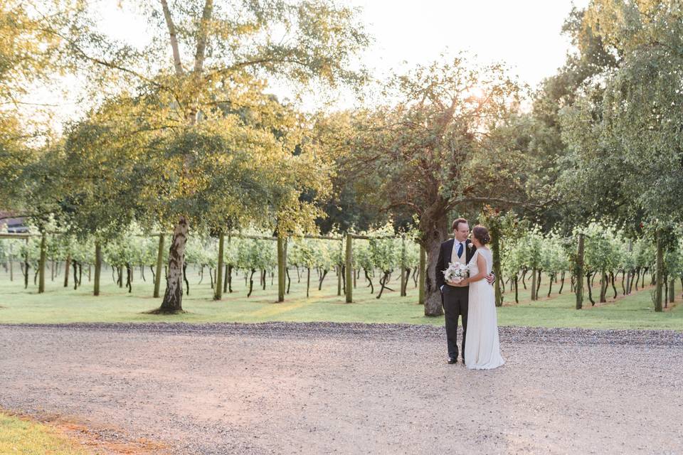 The Vineyard at Stanlake Park