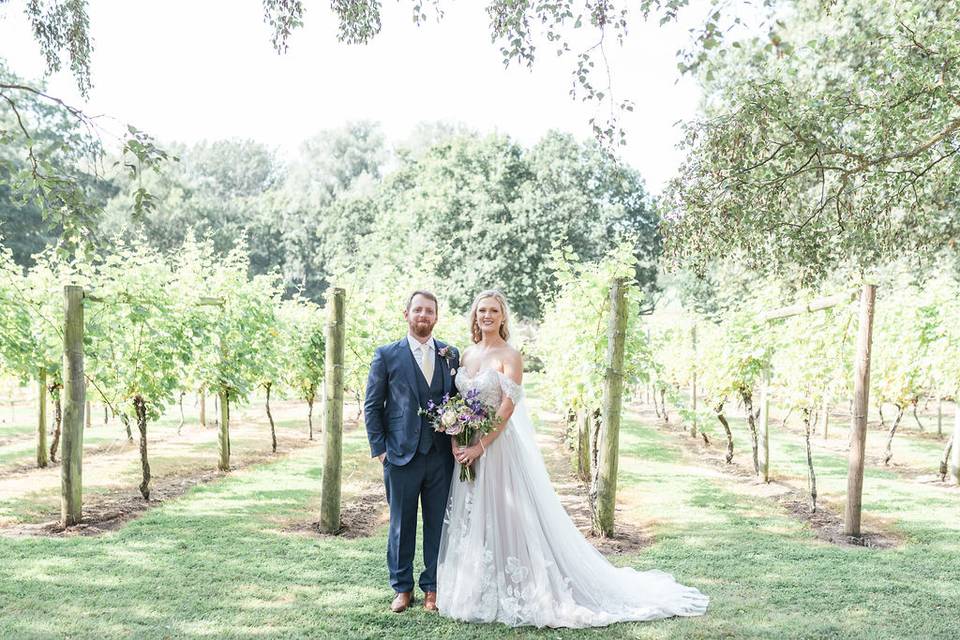 The Vineyard at Stanlake Park