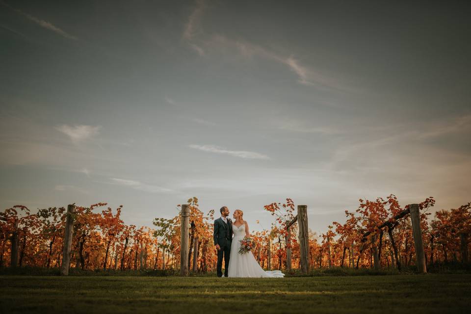 The Golden Hour at Stanlake