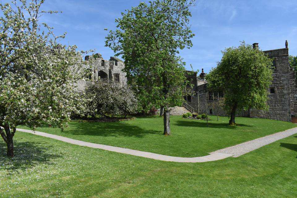 Orchard in Spring