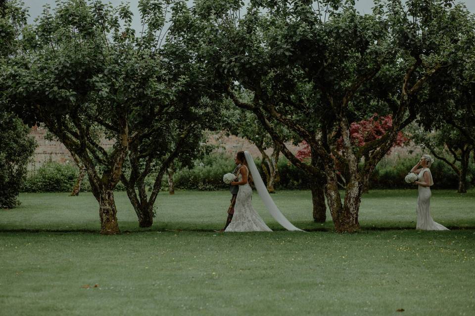 The Apple Tree Aisle