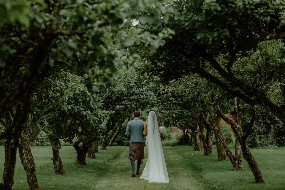 The Apple Tree Aisle