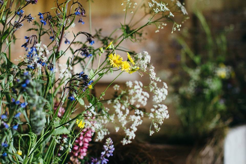 The Old Troughs