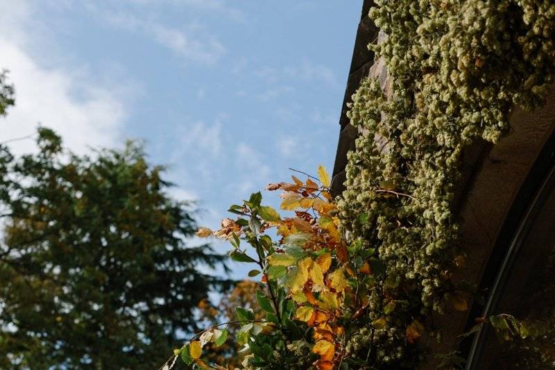 Autumn at Inchyra