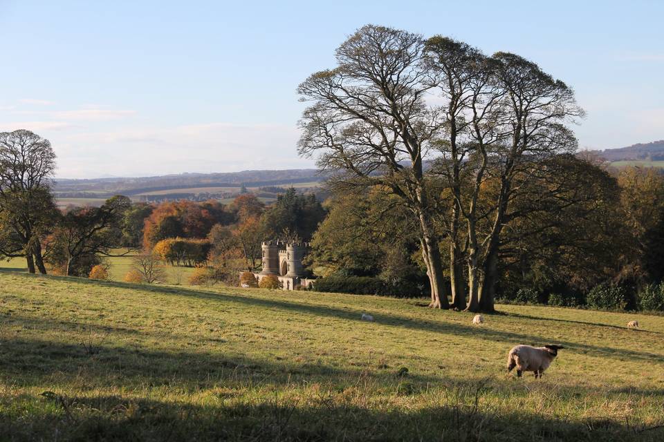 Duns Castle