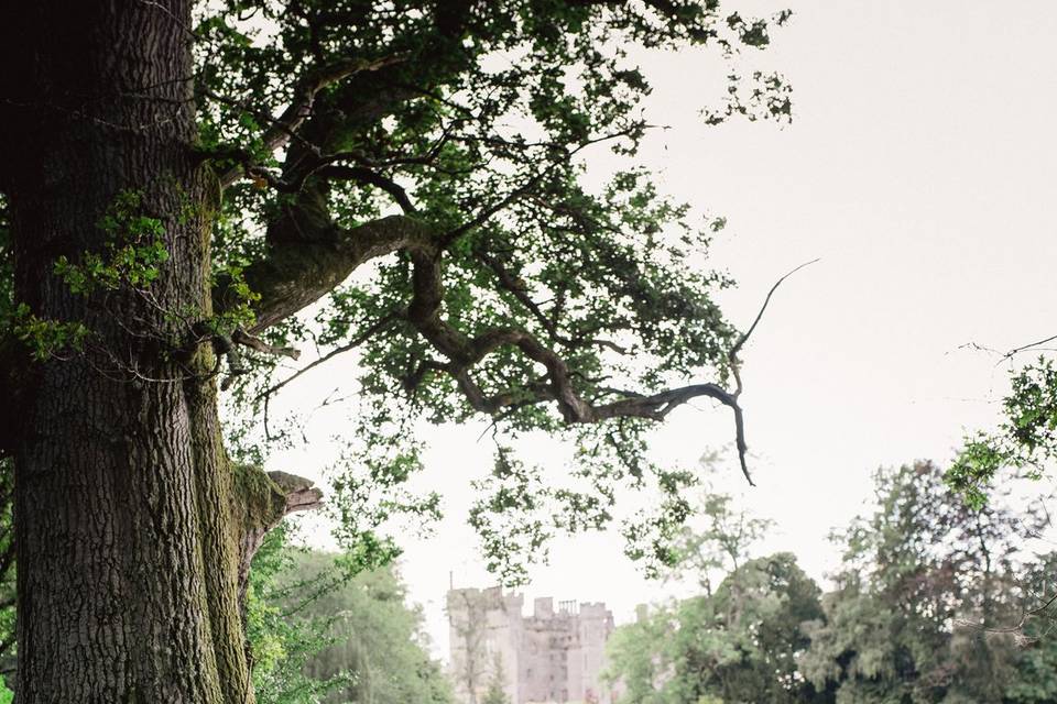 Duns Castle Lakeside