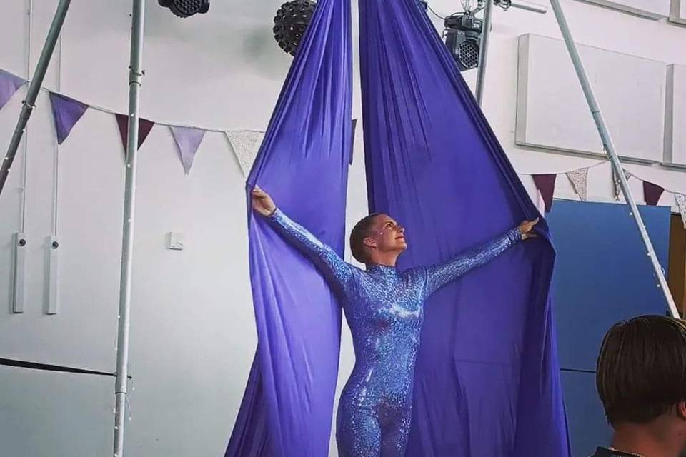 Aerial Silks