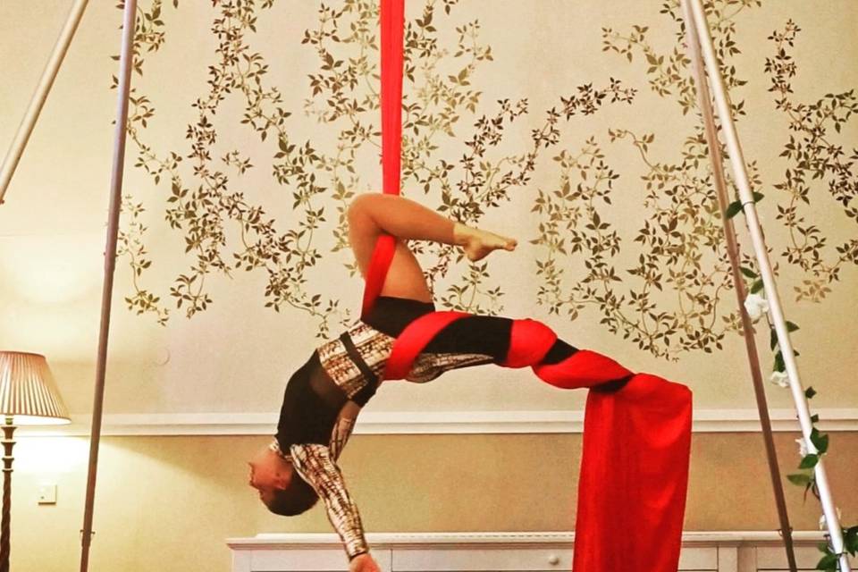 Aerial Silks