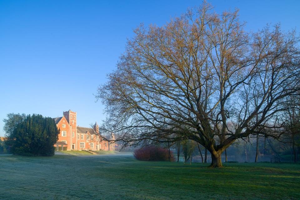 Magical Misty Wedding