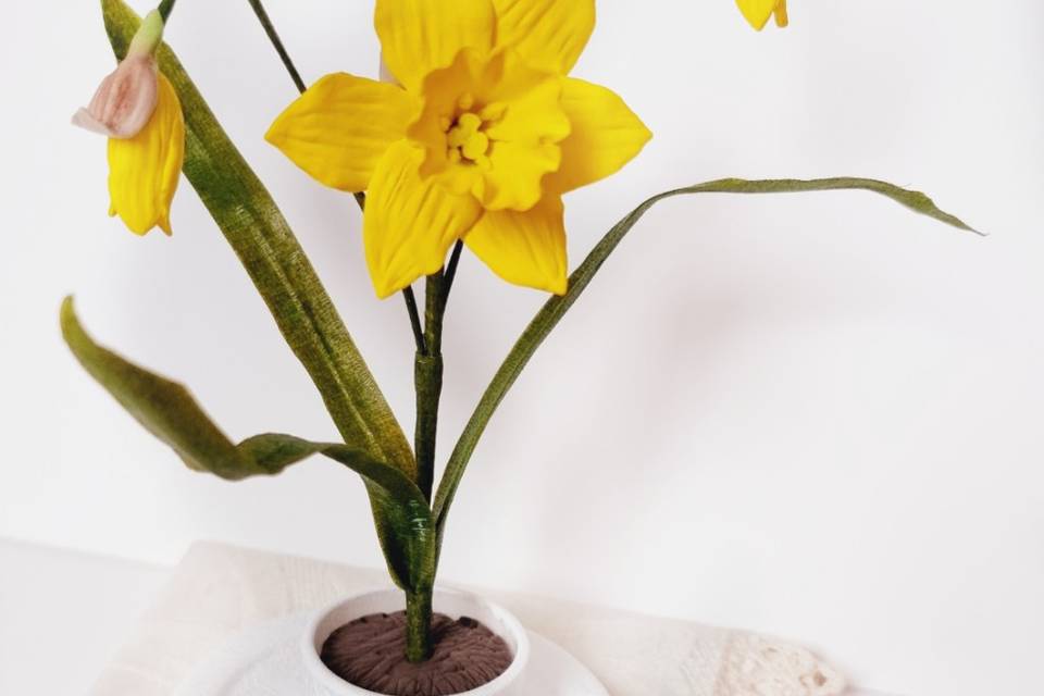 Clay Daffodil gift