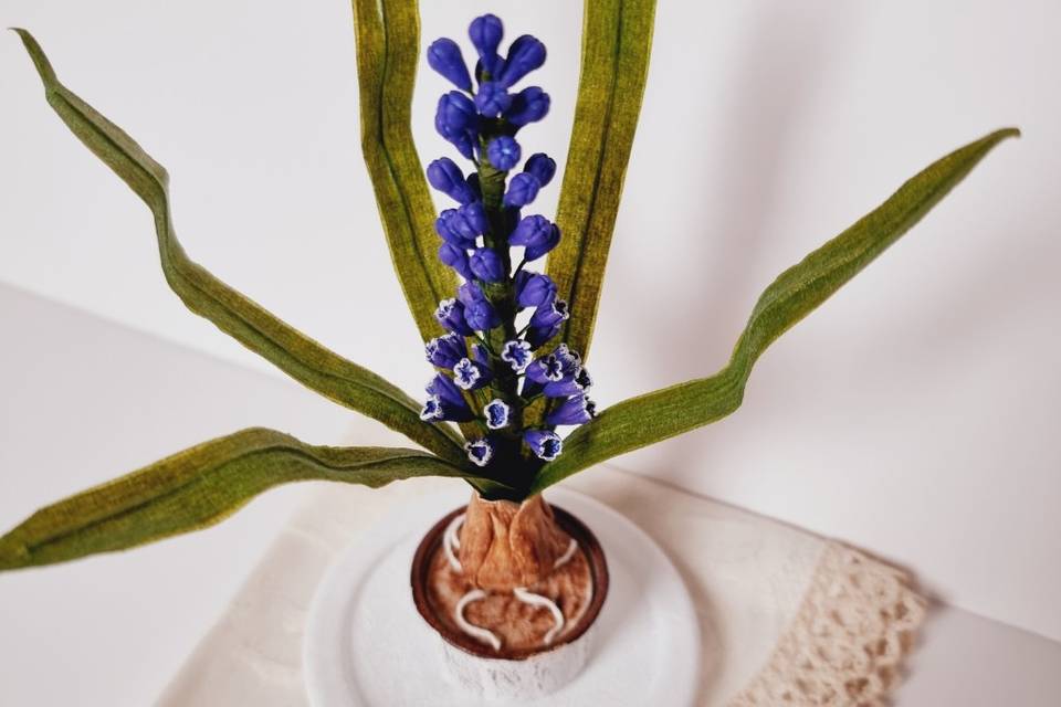 Clay Hyacinth gift