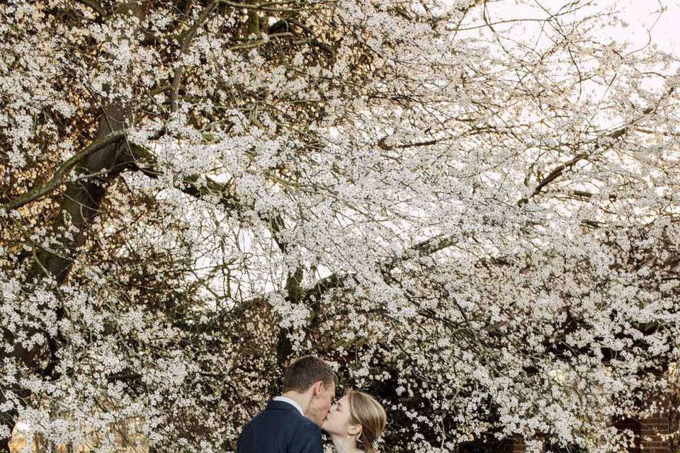 Bride & Groom