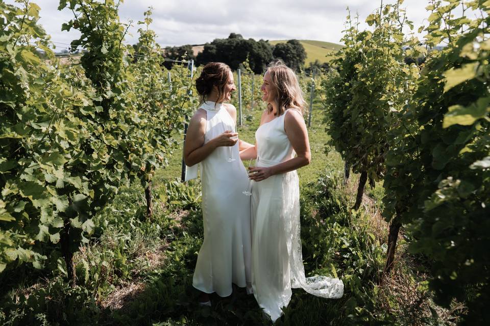 Gorgeous brides in vineyard