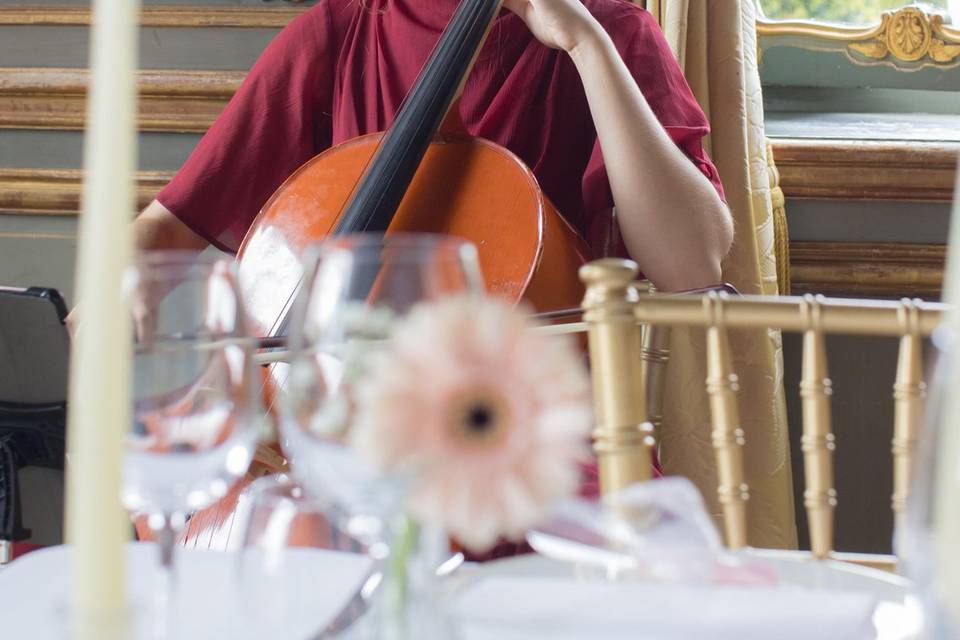 Arina Brovanova - Cellist
