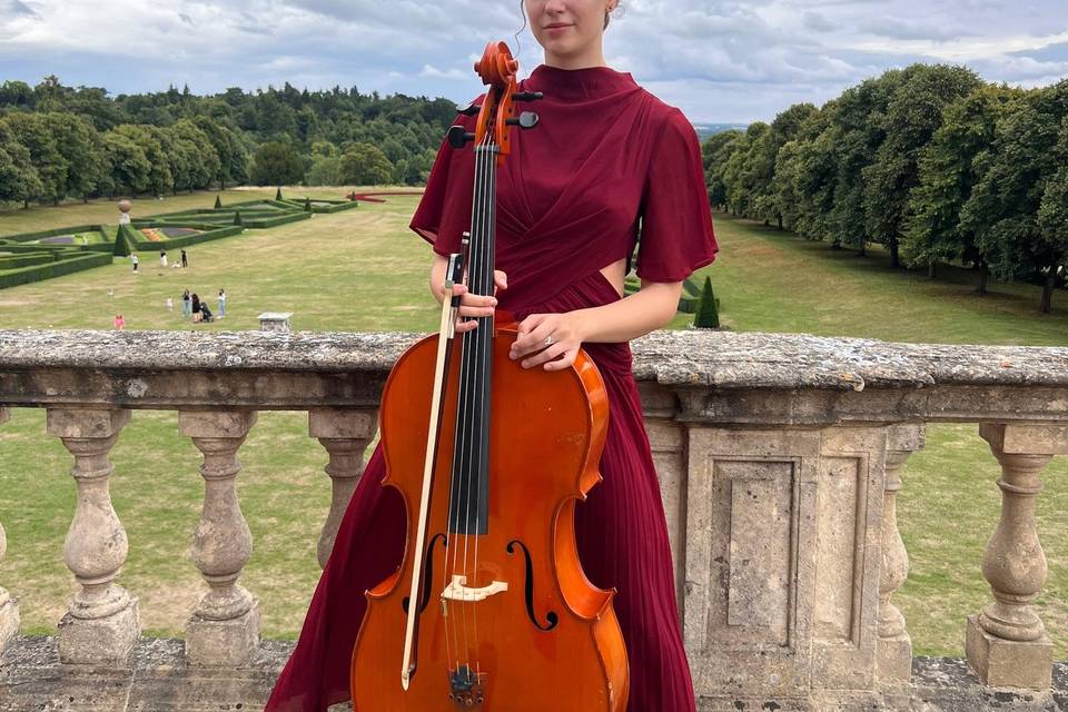 Arina Brovanova - Cellist
