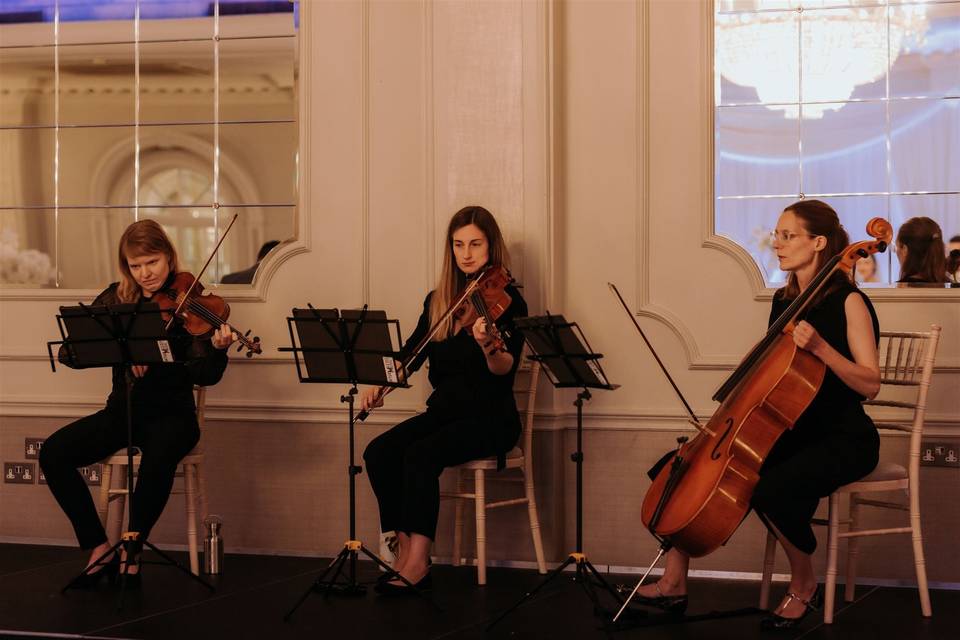 String Trio