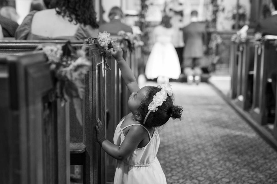 Jeff Sham Photography