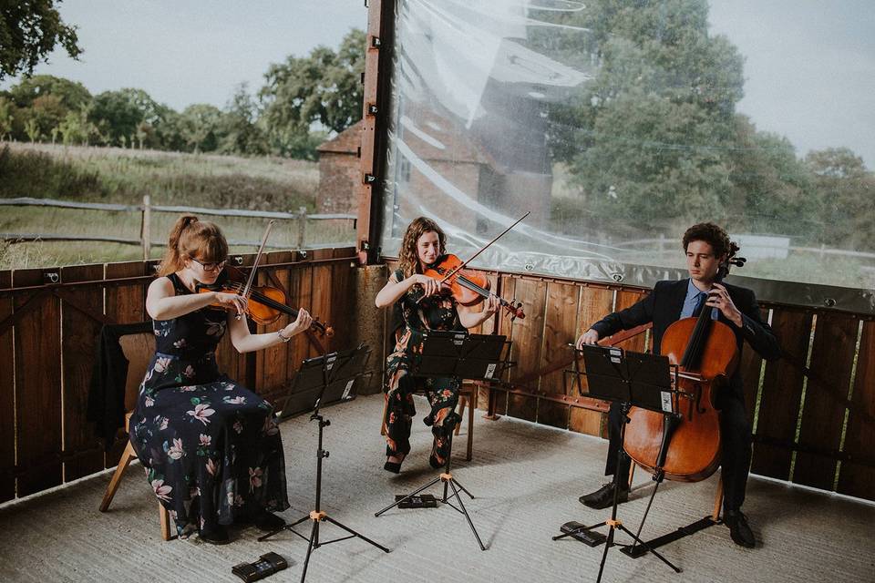 Barn String Trio