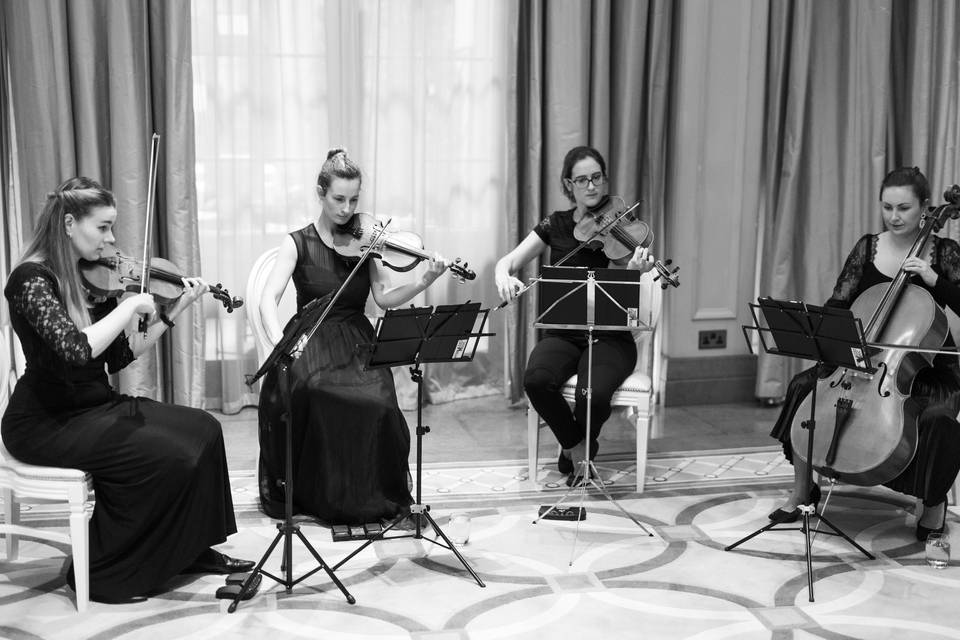 String Quartet in black