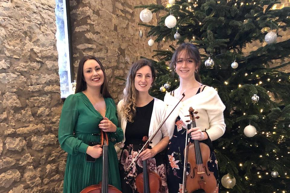 String Trio at Christmas