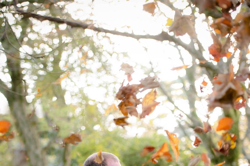 Isle of Eriska Hotel, Spa & Island