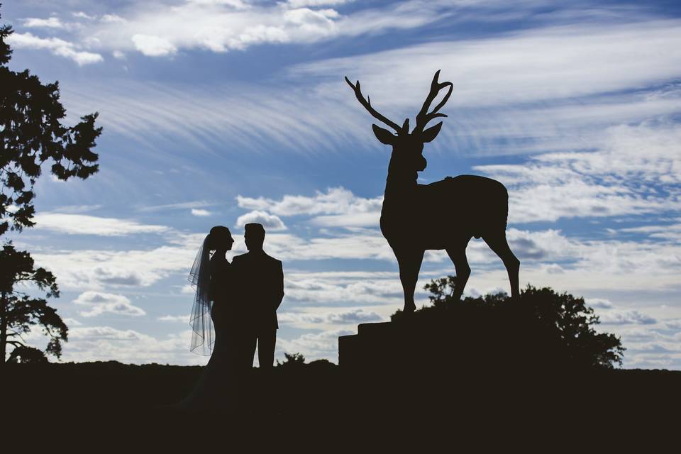 Wedding silhouette portrait